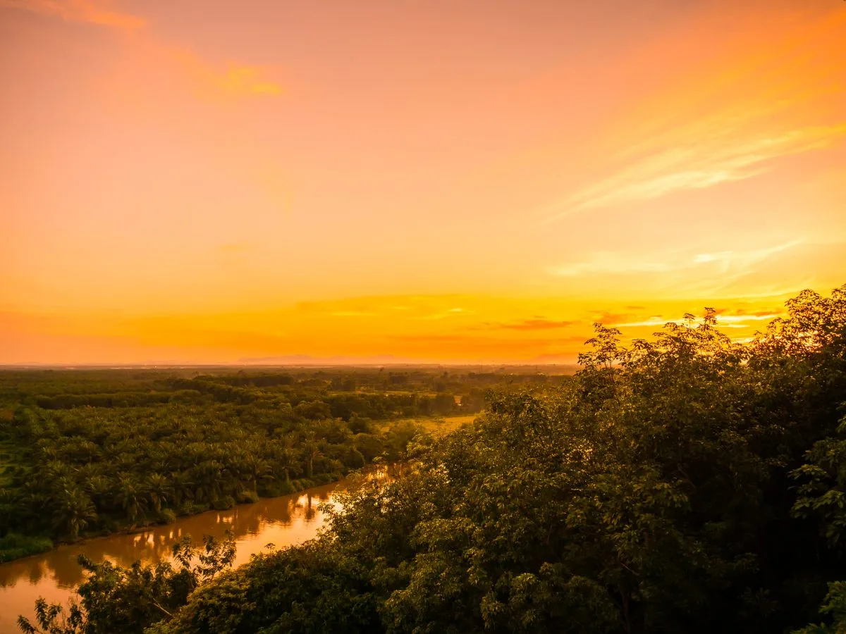 Projetos de meio ambiente e agroecologia